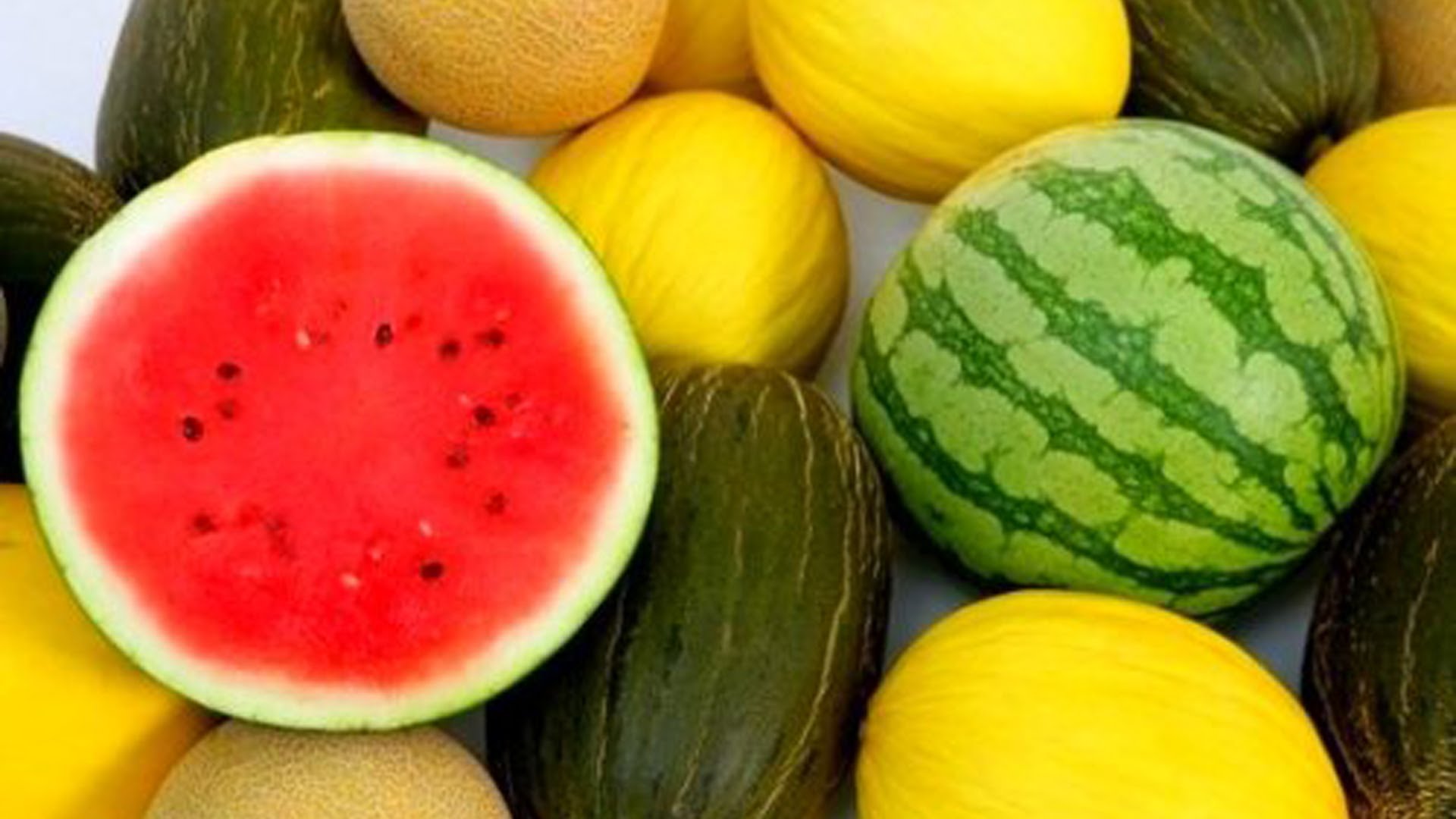 Melon and watermelon are good neighbors
